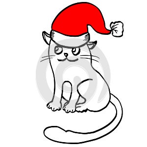 Cute smiling cat in a red Santa hat with pompon for festive Christmas and New Year design