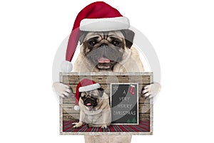 Cute smiling Christmas pug dog with santa hat, holding up greeting card with selfportrait