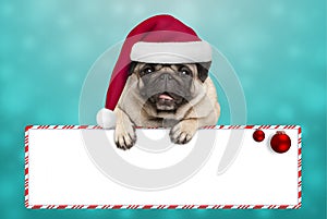 Cute smiling Christmas pug puppy dog with santa hat, hanging with paws on blank sign photo