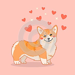 Cute smiling corgi dog with hearts vector cartoon illustration. Kawai corgi puppy print. Isolated on pink background