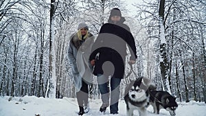 Cute smiling couple walking together with two beautiful siberian fluffy huskies in the winter snowy forest