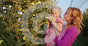 Cute smiling family, mother and daughter in the apple orchard picking apples, 4k