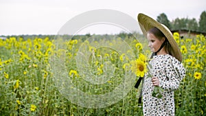 Cute smiling girl holding sunflowers and walking on summer field