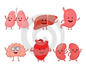 Cute smiling happy human healthy strong organs set.