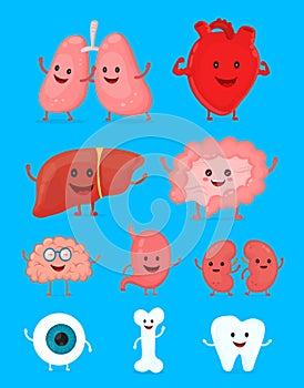 Cute smiling happy human healthy strong organs set