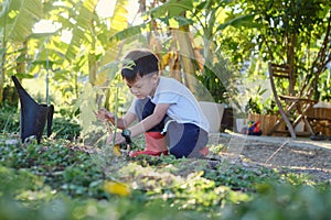 Cute smiling happy little Asian kindergarten boy kid holding gardening shovel planting young tree on soil at home garden,