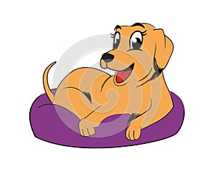 Cute and Smiling Labrador Retriever Resting on Dog Pillow or Dog Beds