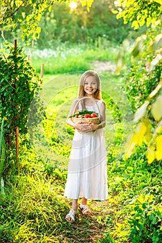 Cute smiling little girl holds basket with fruit and vegetables