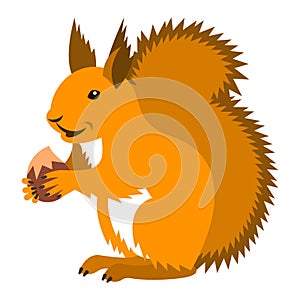 Cute smiling red squirrel with nut cartoon