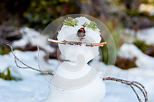 Cute smiling snow man