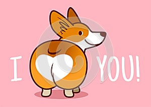 Cute smiling welsh corgi dog vector cartoon illustration isolate photo