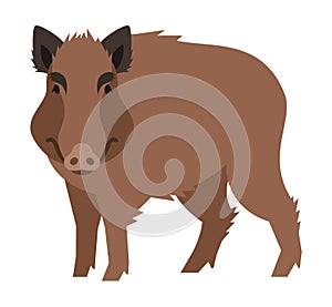 Cute smiling wild boar cartoon illustration