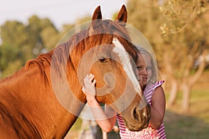 Carino poco suo Carino un cavallo 