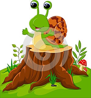 Cute snail cartoon