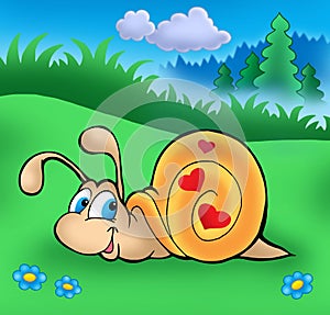 Cute snail in grass