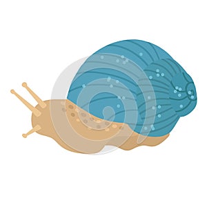 Cute snail in a shell in light blue color. Vector hand drawn cartoon