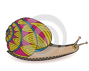 Cute snail. Wild life Cochlea Zen tangle. Doodle shell pink and yellow.