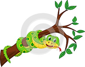 Cute snake cartoon on branch