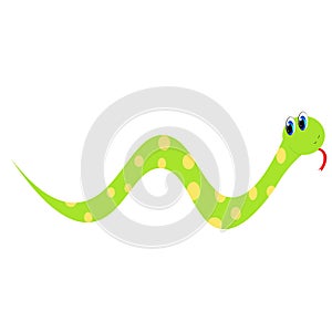 Cute snake  cartoon illustration