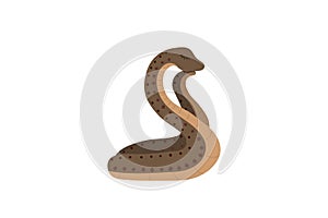 Cute snake on a white background.