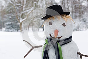 Cute snowman