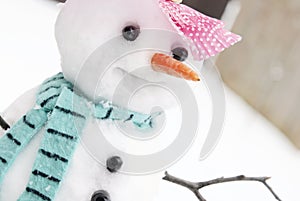 Cute Snowman Closeup