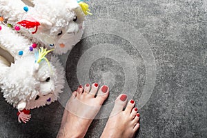 Cute soft 3d llama slippers and feet with red pedicure