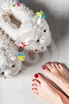 Cute soft 3d llama slippers and feet with red pedicure