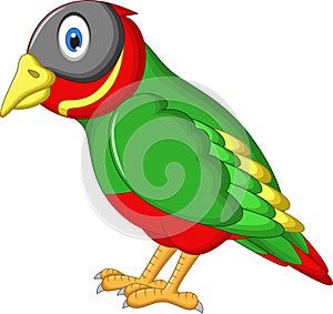 Cute sparrow cartoon