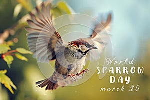 Cute sparrow in spring garden with blossom tree, World Sparrow Day