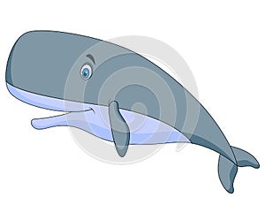 Cute sperm whale cartoon