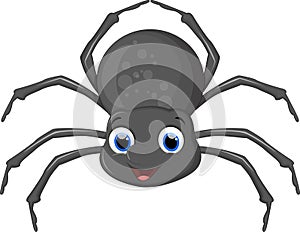 Cute spider cartoon