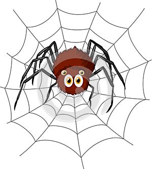 Cute spider cartoon