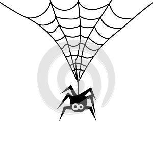 Cute Spider on a web