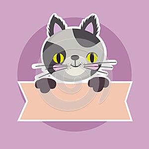 cute spotted cat feline animal with banner, pet cartoon