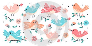 Cute spring birds flying, tweeting surrounded with floral design elements vector illustration