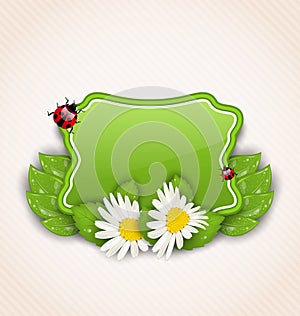 Cute spring card with flower daisies, leaves, ladybugs