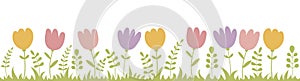 Cute spring flowers. Panoramic garden with tulips, plants and grass on white background.