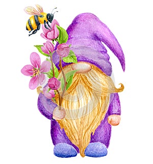 Cute spring Gnome and bee with apple flowers branch. Watercolor drawing