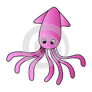 Cute of squid on cartoon version