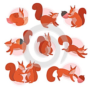 Cute Squirrel Animal Sitting and Jumping Vector Illustrations Set