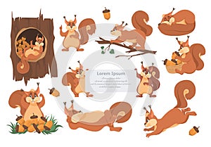 Cute squirrel cartoon character set, flat vector isolated illustration. Funny forest wild animals. Emoji, logo, sticker.