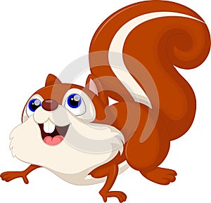 Cute squirrel cartoon. Chipmunk, color.