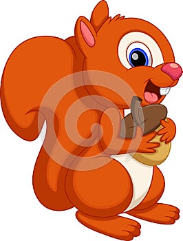 Cute squirrel cartoon with a white background