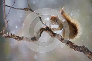 Cute Squirrel on Tree Branch in Winter with Snowfall. Photo Art.