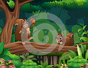 Cute squirrels cartoon on the tree