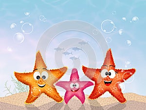Cute starfishes