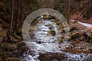 Cute stream in a dark dense forest with small waterfalls among stones