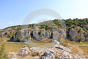 Cute street dog in the mountain landscape with some of the oldest limestone rock formations in Europe, in Dobrogea Gorges Cheile