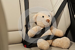 Cute stuffed toy bear buckled of car